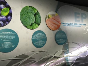Dans son exposition "Good food, good life", Nestlé nous explique comment manger équilibré!